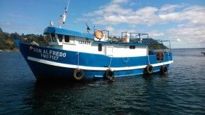 Karina Espinoza Anuncios nauticos en Puerto Montt |  Se arrienda embarcación ideal para apoyo en centros de cultivos, Valores conversables