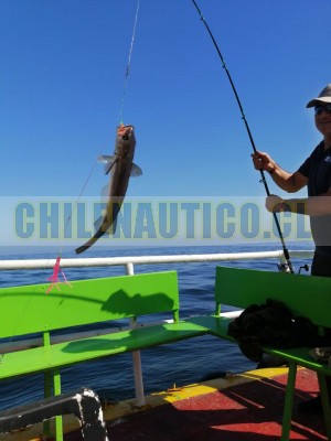 Turismo fusion Anuncios nauticos en Valparaíso |  Eventos de pesca deportiva  en valparaiso grupos empresas, Arriendo de embarcaciones pesca en valparaiso